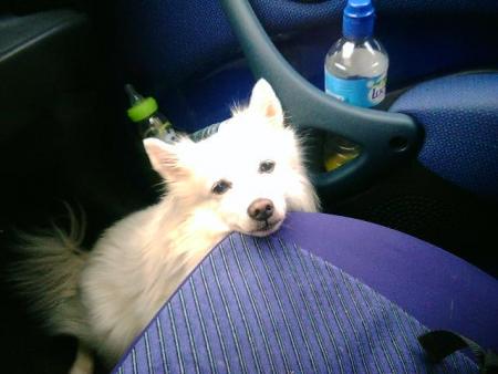 VOITURE